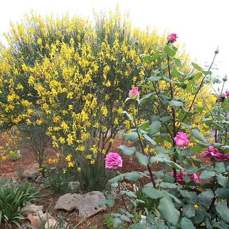 A Casa Di Isor * San Vito dei Normanni