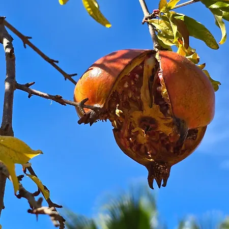 Dom wakacyjny A Casa Di Isor