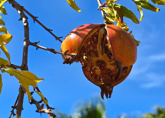 Дом отдыха A Casa Di Isor