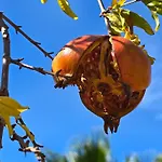 Σπίτι διακοπών A Casa Di Isor